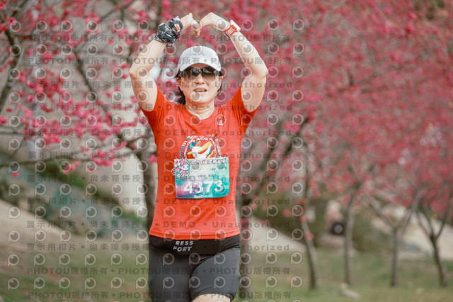 2026左岸竹東櫻花馬拉松Zhudong Sakura Marathon