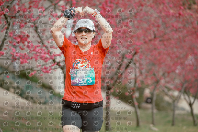 2026左岸竹東櫻花馬拉松Zhudong Sakura Marathon