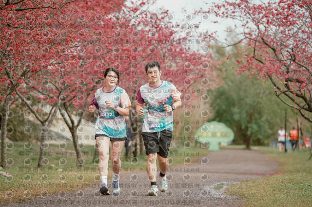 2026左岸竹東櫻花馬拉松Zhudong Sakura Marathon