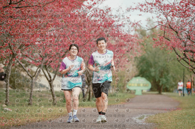 2026左岸竹東櫻花馬拉松Zhudong Sakura Marathon