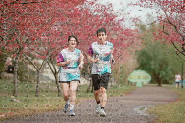 2026左岸竹東櫻花馬拉松Zhudong Sakura Marathon