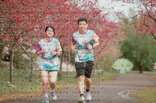 2026左岸竹東櫻花馬拉松Zhudong Sakura Marathon