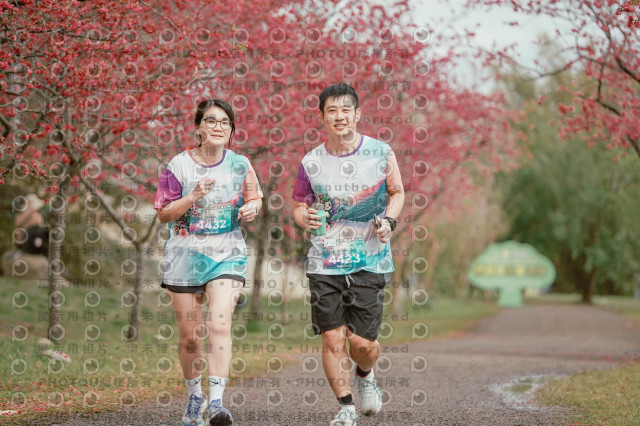 2026左岸竹東櫻花馬拉松Zhudong Sakura Marathon