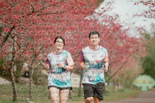 2026左岸竹東櫻花馬拉松Zhudong Sakura Marathon