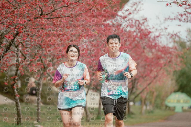 2026左岸竹東櫻花馬拉松Zhudong Sakura Marathon