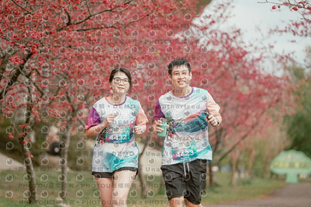 2026左岸竹東櫻花馬拉松Zhudong Sakura Marathon