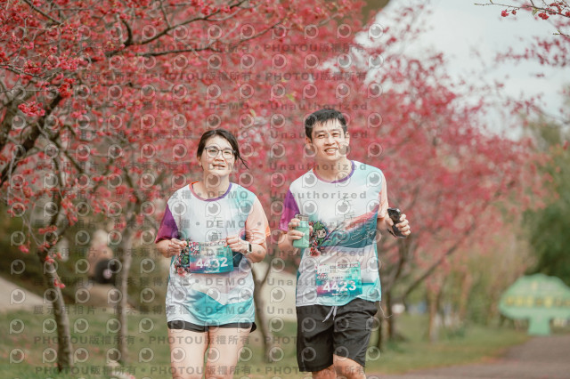 2026左岸竹東櫻花馬拉松Zhudong Sakura Marathon