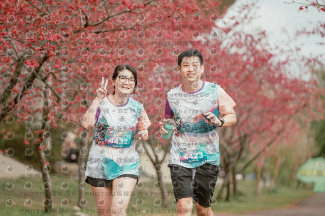 2026左岸竹東櫻花馬拉松Zhudong Sakura Marathon