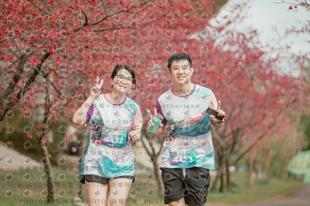 2026左岸竹東櫻花馬拉松Zhudong Sakura Marathon