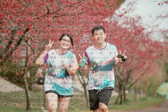 2026左岸竹東櫻花馬拉松Zhudong Sakura Marathon