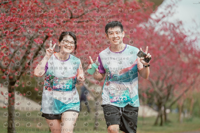 2026左岸竹東櫻花馬拉松Zhudong Sakura Marathon