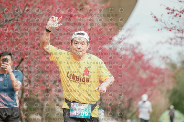 2026左岸竹東櫻花馬拉松Zhudong Sakura Marathon