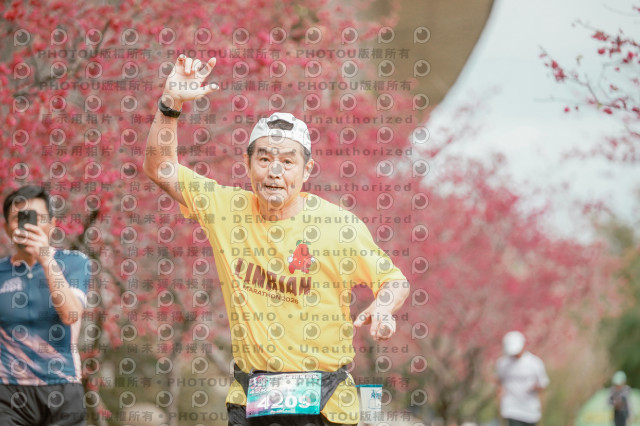 2026左岸竹東櫻花馬拉松Zhudong Sakura Marathon