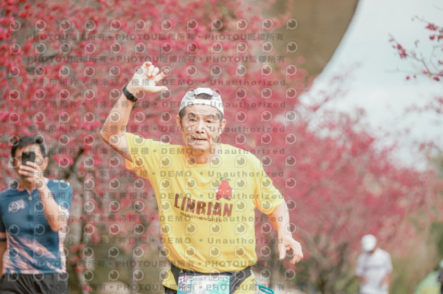 2026左岸竹東櫻花馬拉松Zhudong Sakura Marathon