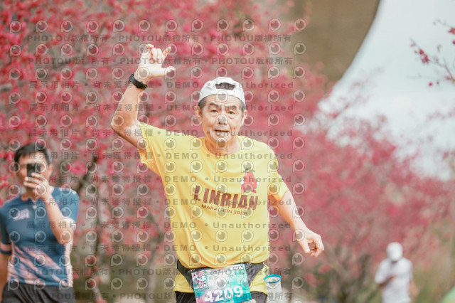 2026左岸竹東櫻花馬拉松Zhudong Sakura Marathon