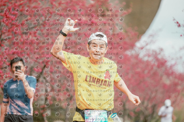 2026左岸竹東櫻花馬拉松Zhudong Sakura Marathon