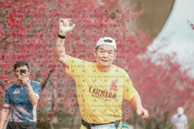 2026左岸竹東櫻花馬拉松Zhudong Sakura Marathon