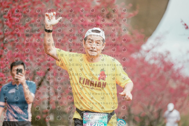 2026左岸竹東櫻花馬拉松Zhudong Sakura Marathon