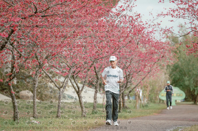 2026左岸竹東櫻花馬拉松Zhudong Sakura Marathon