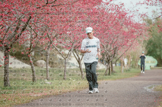 2026左岸竹東櫻花馬拉松Zhudong Sakura Marathon