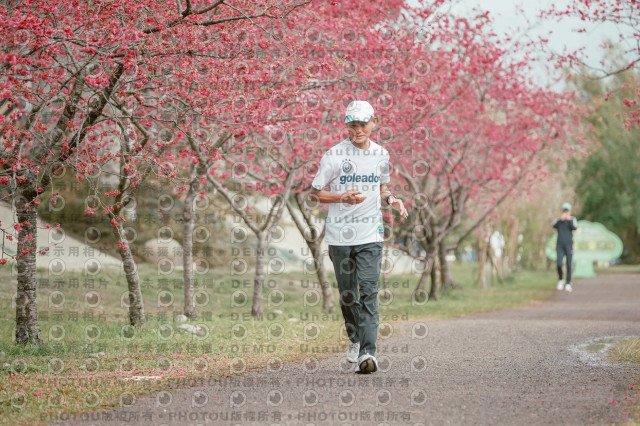 2026左岸竹東櫻花馬拉松Zhudong Sakura Marathon