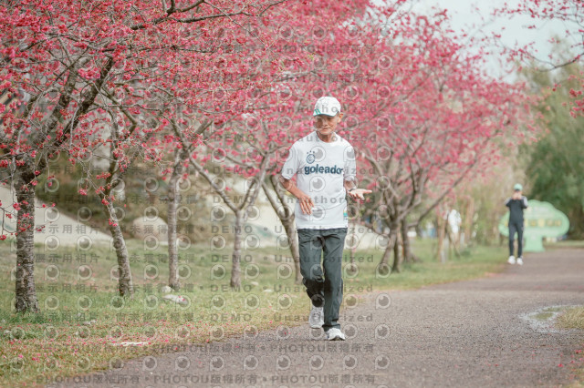 2026左岸竹東櫻花馬拉松Zhudong Sakura Marathon