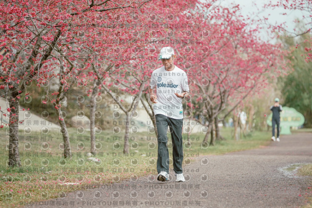 2026左岸竹東櫻花馬拉松Zhudong Sakura Marathon