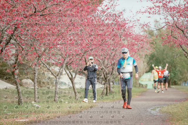 2026左岸竹東櫻花馬拉松Zhudong Sakura Marathon