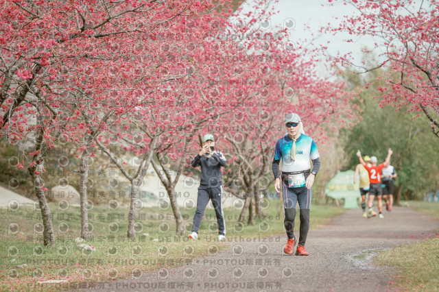 2026左岸竹東櫻花馬拉松Zhudong Sakura Marathon