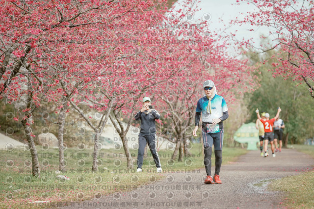 2026左岸竹東櫻花馬拉松Zhudong Sakura Marathon