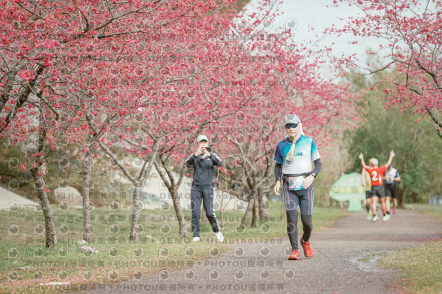 2026左岸竹東櫻花馬拉松Zhudong Sakura Marathon