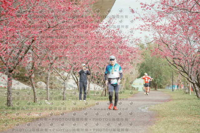 2026左岸竹東櫻花馬拉松Zhudong Sakura Marathon