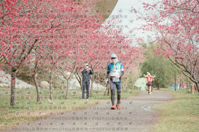 2026左岸竹東櫻花馬拉松Zhudong Sakura Marathon
