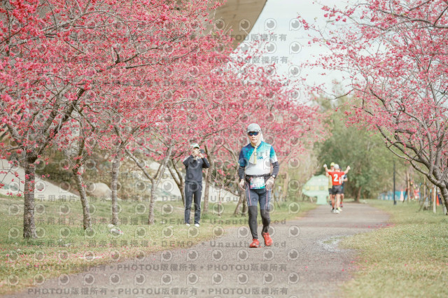 2026左岸竹東櫻花馬拉松Zhudong Sakura Marathon