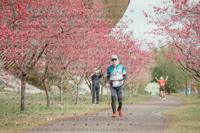 2026左岸竹東櫻花馬拉松Zhudong Sakura Marathon