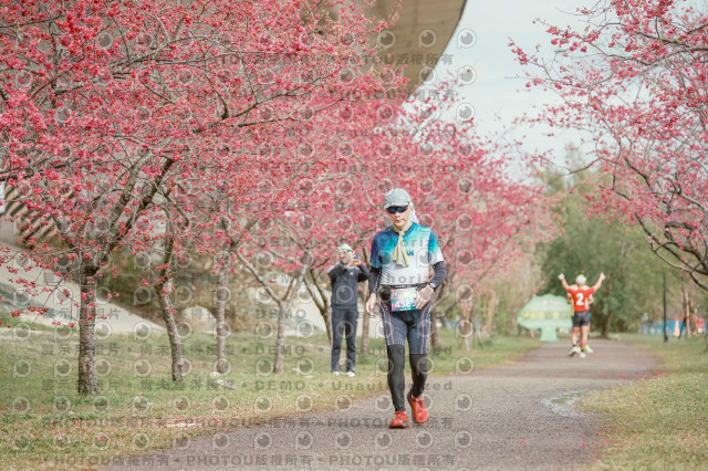 2026左岸竹東櫻花馬拉松Zhudong Sakura Marathon