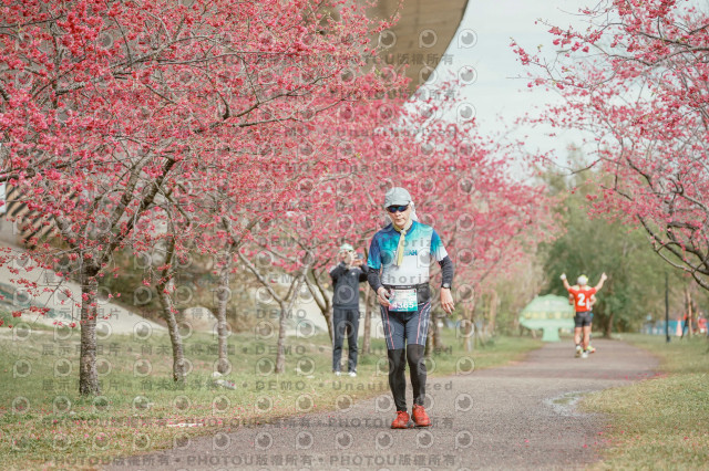 2026左岸竹東櫻花馬拉松Zhudong Sakura Marathon