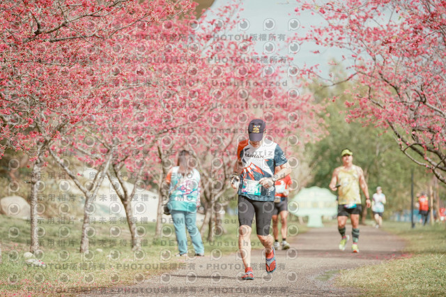 2026左岸竹東櫻花馬拉松Zhudong Sakura Marathon