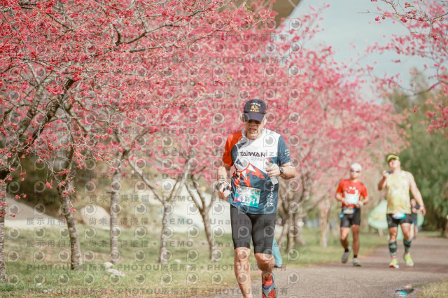 2026左岸竹東櫻花馬拉松Zhudong Sakura Marathon