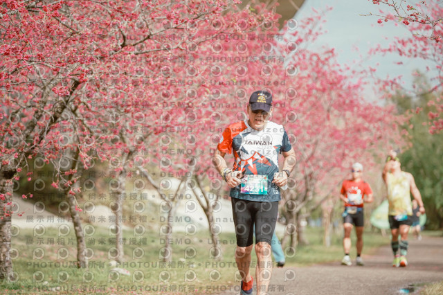 2026左岸竹東櫻花馬拉松Zhudong Sakura Marathon