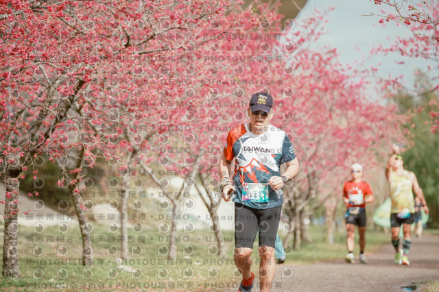 2026左岸竹東櫻花馬拉松Zhudong Sakura Marathon