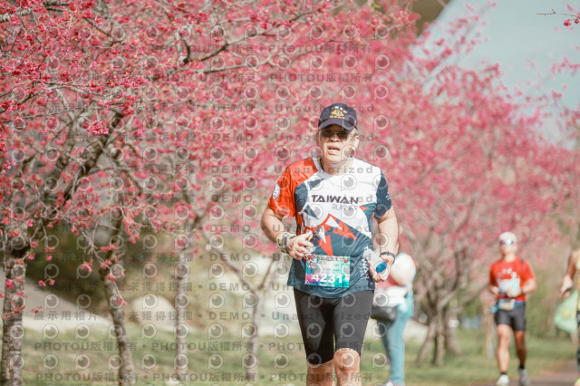 2026左岸竹東櫻花馬拉松Zhudong Sakura Marathon