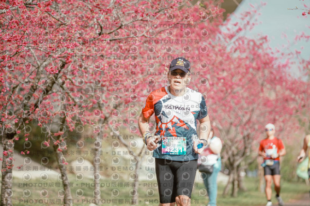 2026左岸竹東櫻花馬拉松Zhudong Sakura Marathon