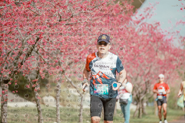 2026左岸竹東櫻花馬拉松Zhudong Sakura Marathon