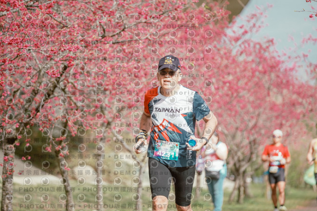 2026左岸竹東櫻花馬拉松Zhudong Sakura Marathon