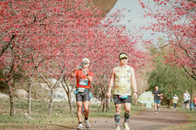 2026左岸竹東櫻花馬拉松Zhudong Sakura Marathon