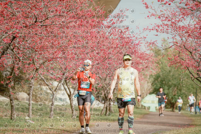 2026左岸竹東櫻花馬拉松Zhudong Sakura Marathon
