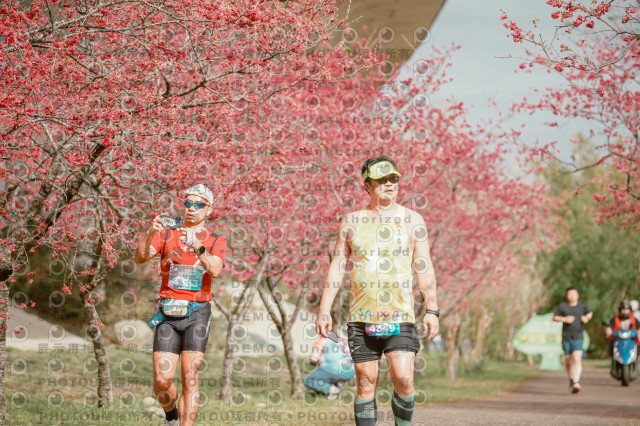 2026左岸竹東櫻花馬拉松Zhudong Sakura Marathon