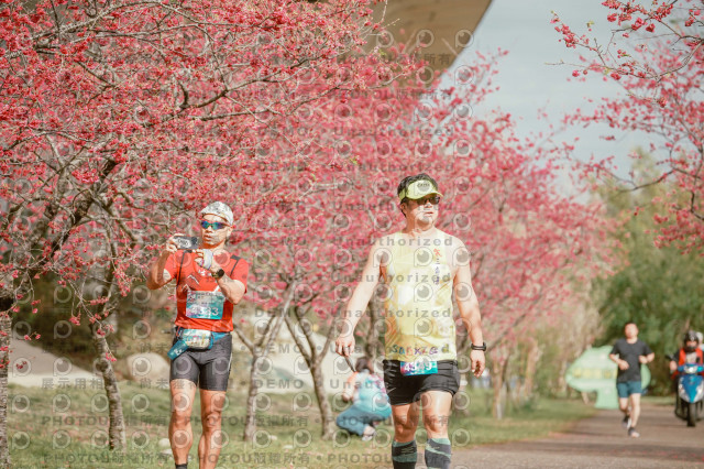 2026左岸竹東櫻花馬拉松Zhudong Sakura Marathon