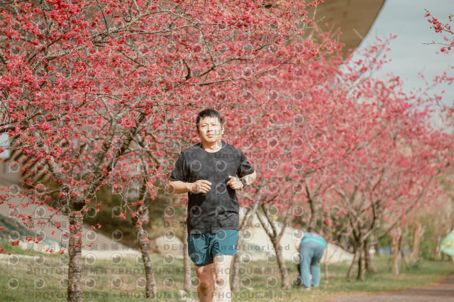 2026左岸竹東櫻花馬拉松Zhudong Sakura Marathon